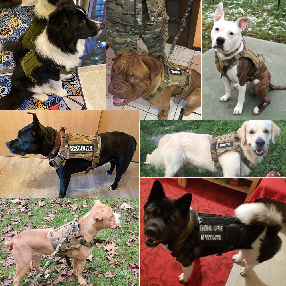 Tactical Dog Harnesses Pet Training Vest.