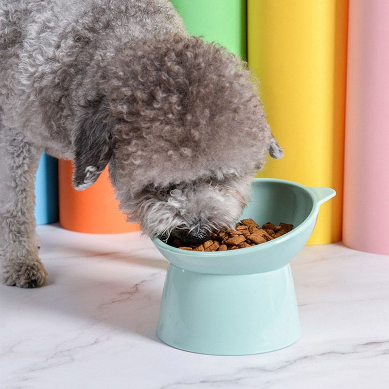 Pet Feeding Bowl