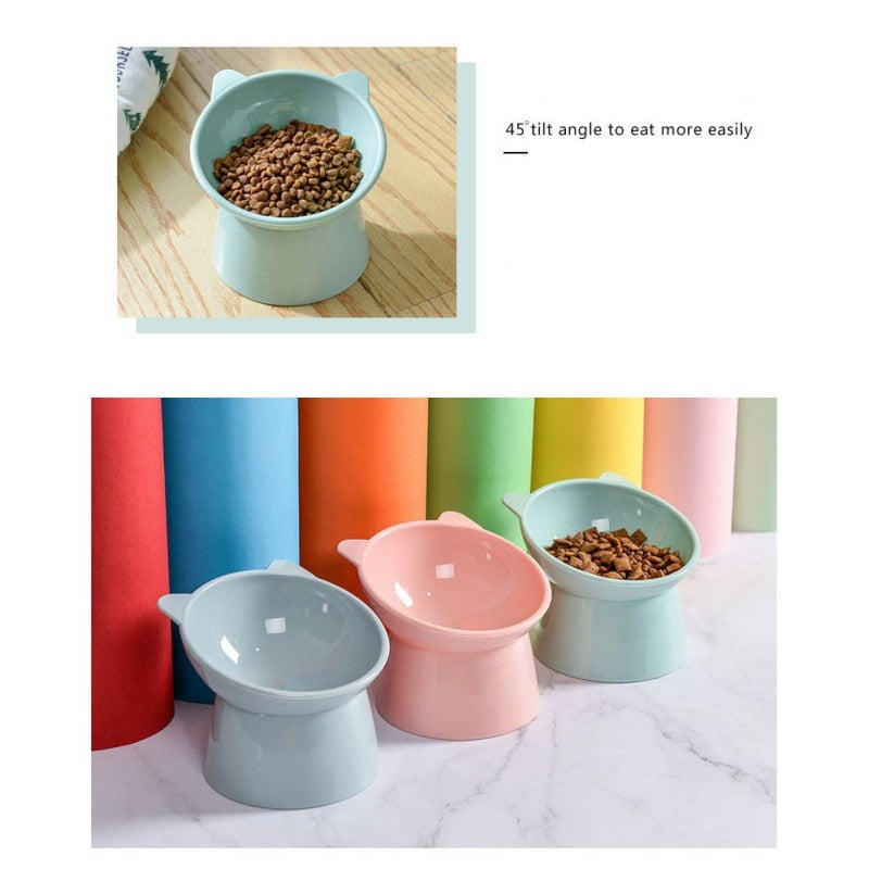 Pet Feeding Bowl