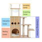 Cat Condominium