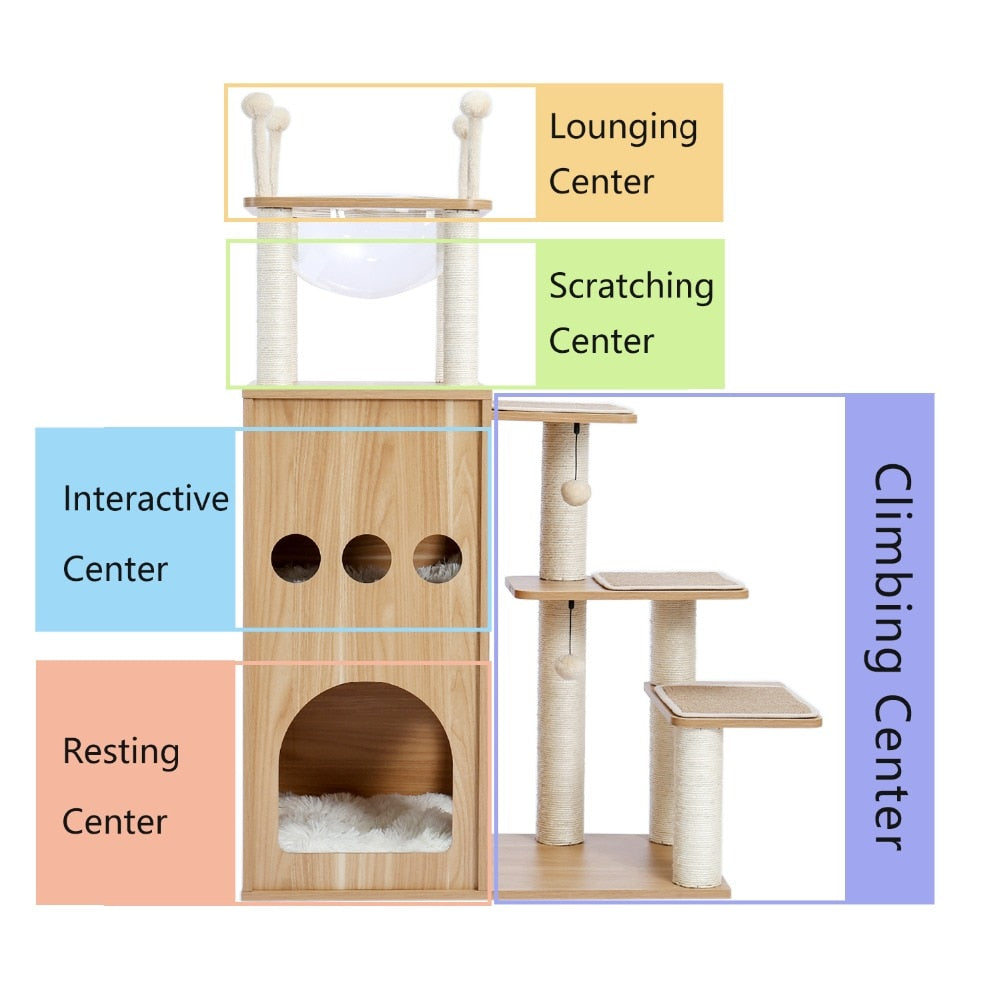 Cat Condominium