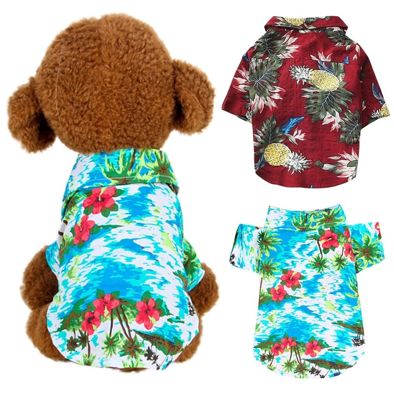 Beautiful Printed Shirt For Cats, Small And Large Dogs.