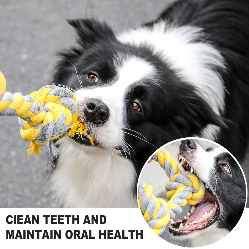 Large Durable Interactive Toy For Big Dog.