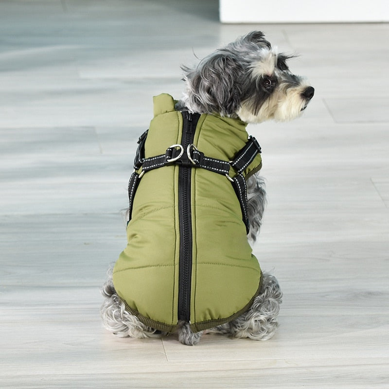Winter Coat With Adjustable Harness And Zipper Closure For Cat And Dog.
