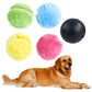 5 Pcs Battery Operated Pet Toy.