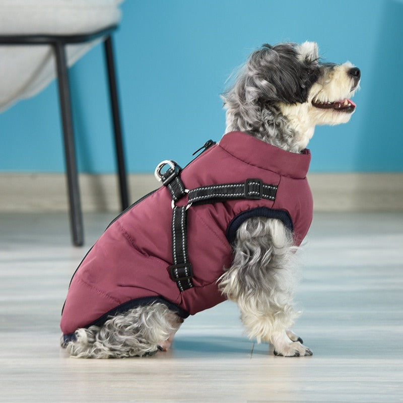 Winter Coat With Adjustable Harness And Zipper Closure For Cat And Dog.