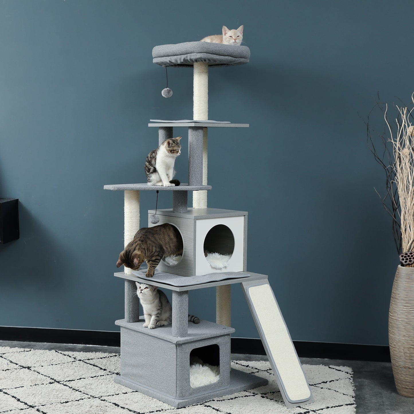Cat Condominium