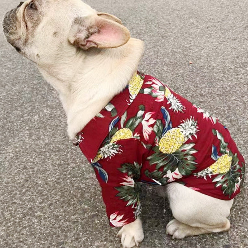 Beautiful Printed Shirt For Cats, Small And Large Dogs.