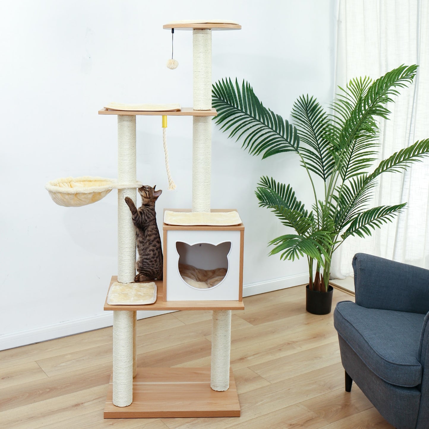 Cat Condominium