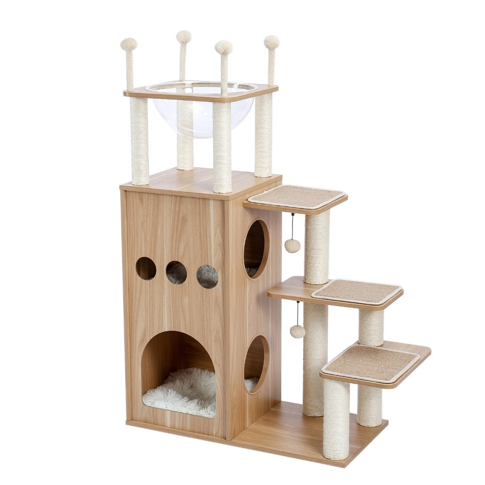 Cat Condominium
