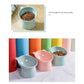 Pet Feeding Bowl