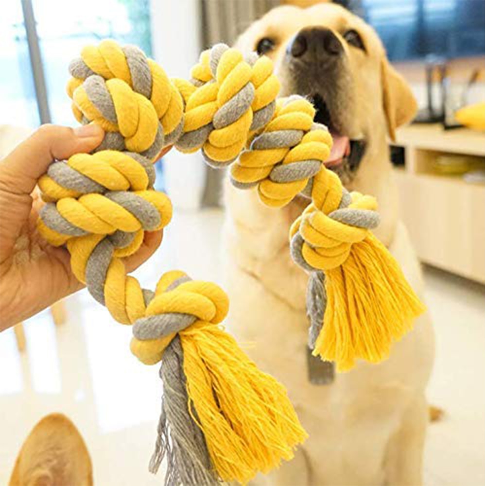 Large Durable Interactive Toy For Big Dog.