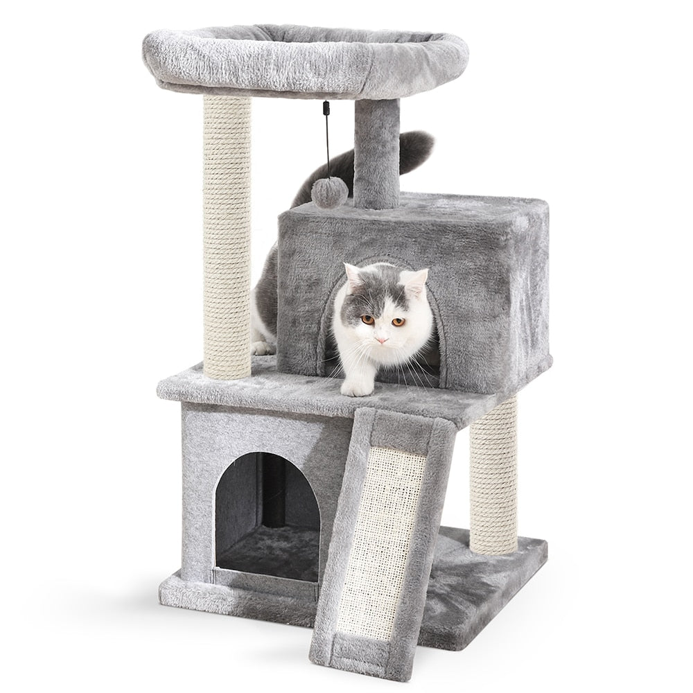 Cat Condominium