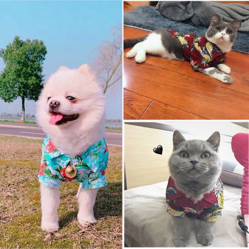 Beautiful Printed Shirt For Cats, Small And Large Dogs.