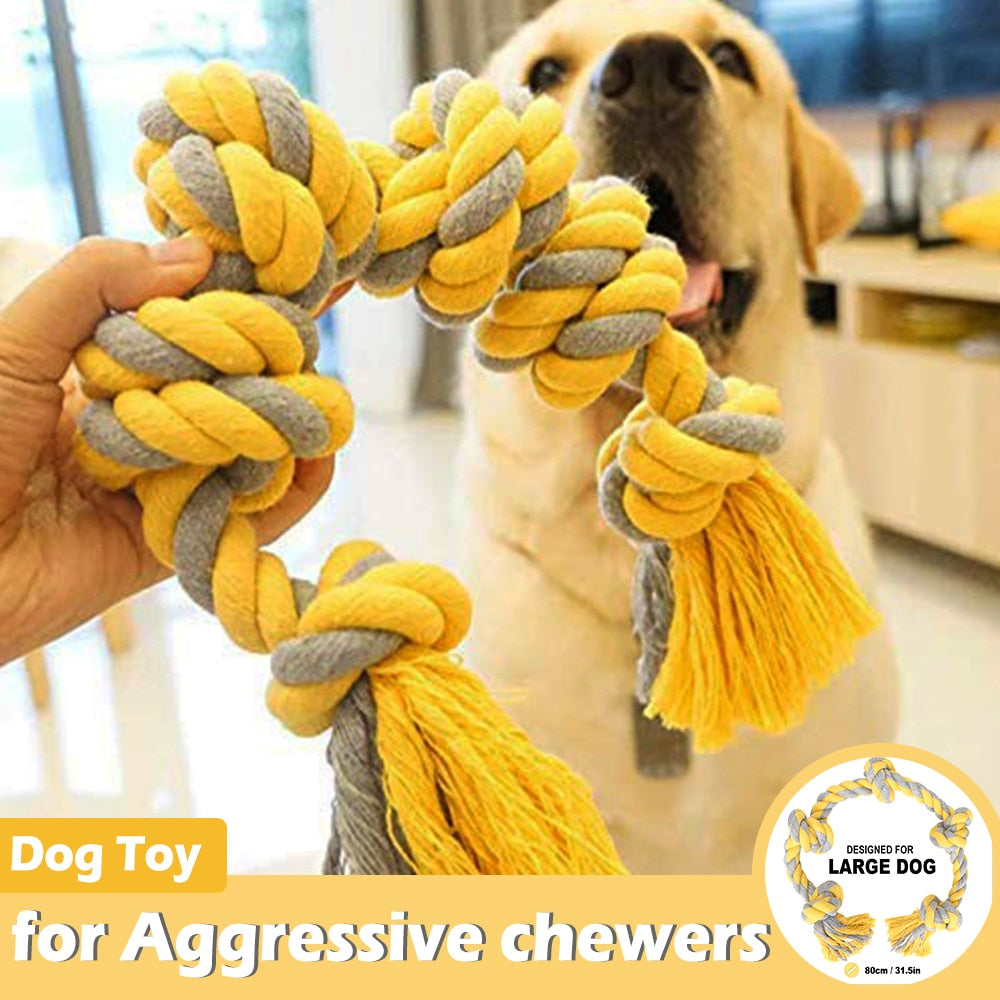 Large Durable Interactive Toy For Big Dog.