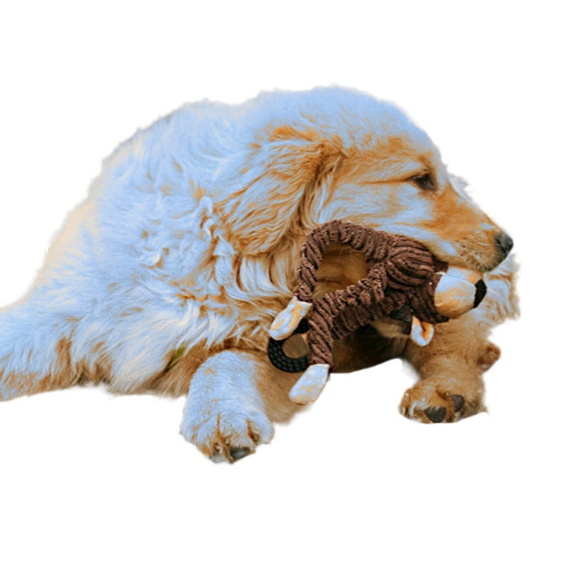 Loveable Chewable Toys With Suction Cups For Pets.