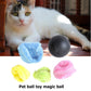 5 Pcs Battery Operated Pet Toy.