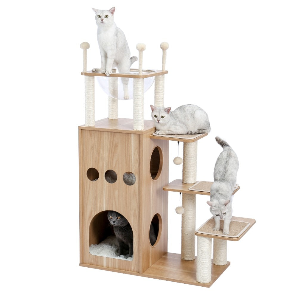 Cat Condominium