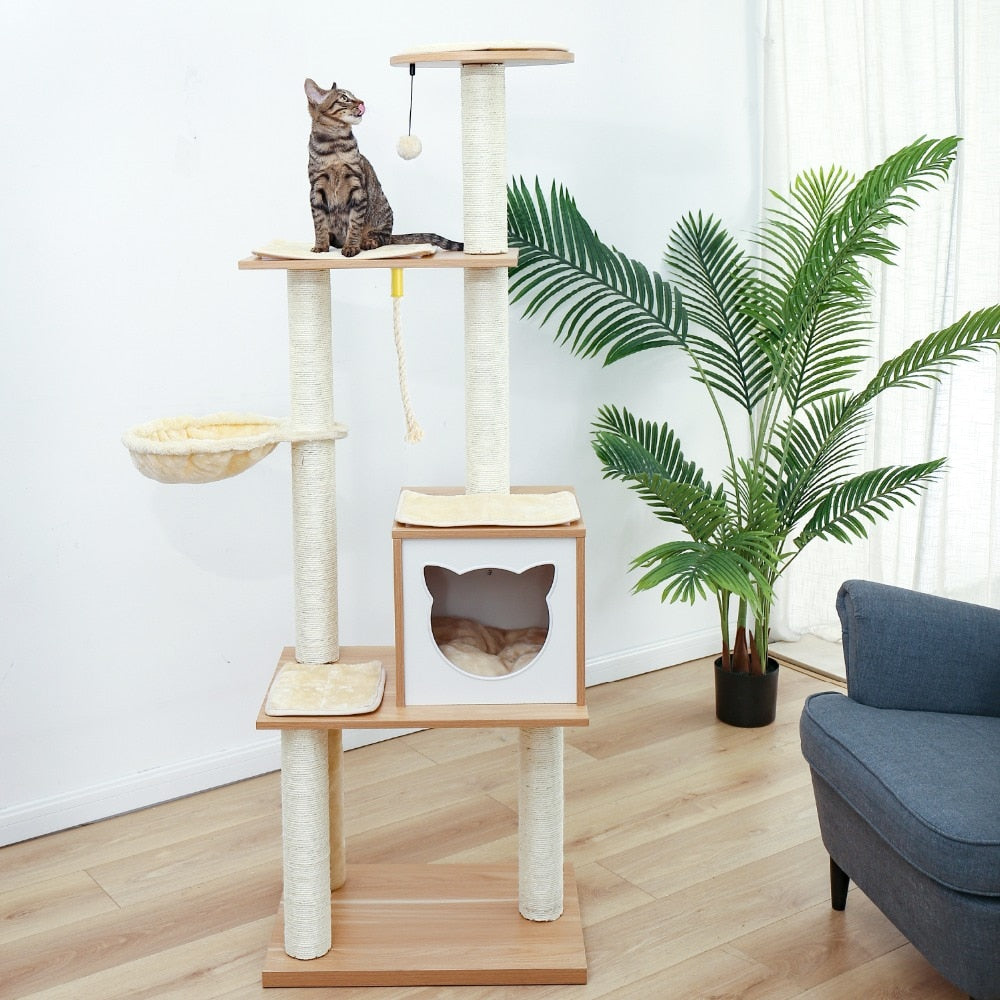 Cat Condominium