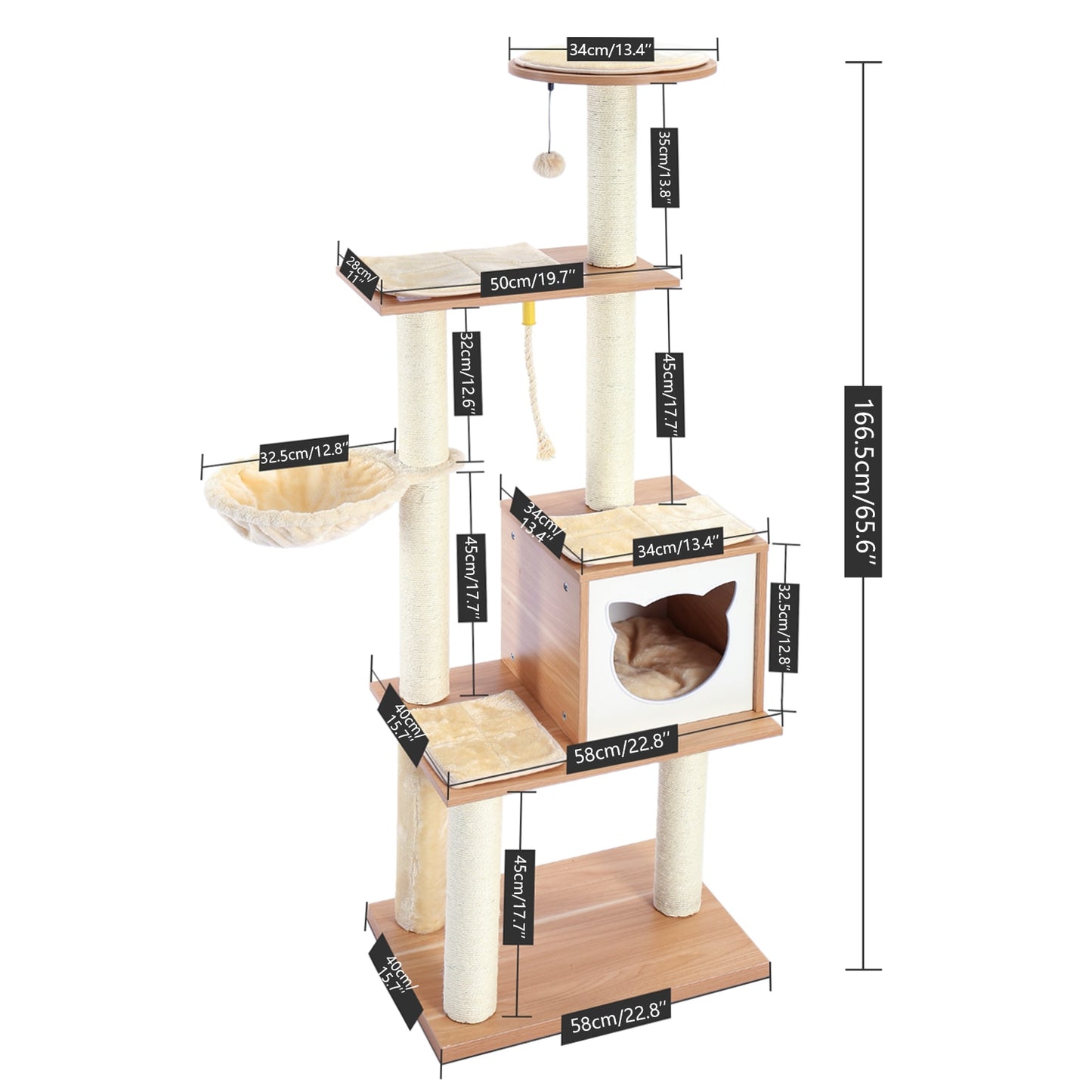 Cat Condominium