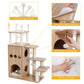 Cat Condominium