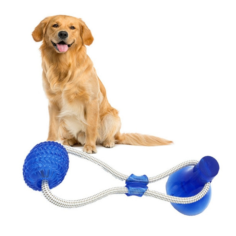 Loveable Chewable Toys With Suction Cups For Pets.