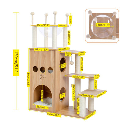 Cat Condominium