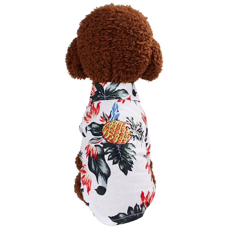 Beautiful Printed Shirt For Cats, Small And Large Dogs.