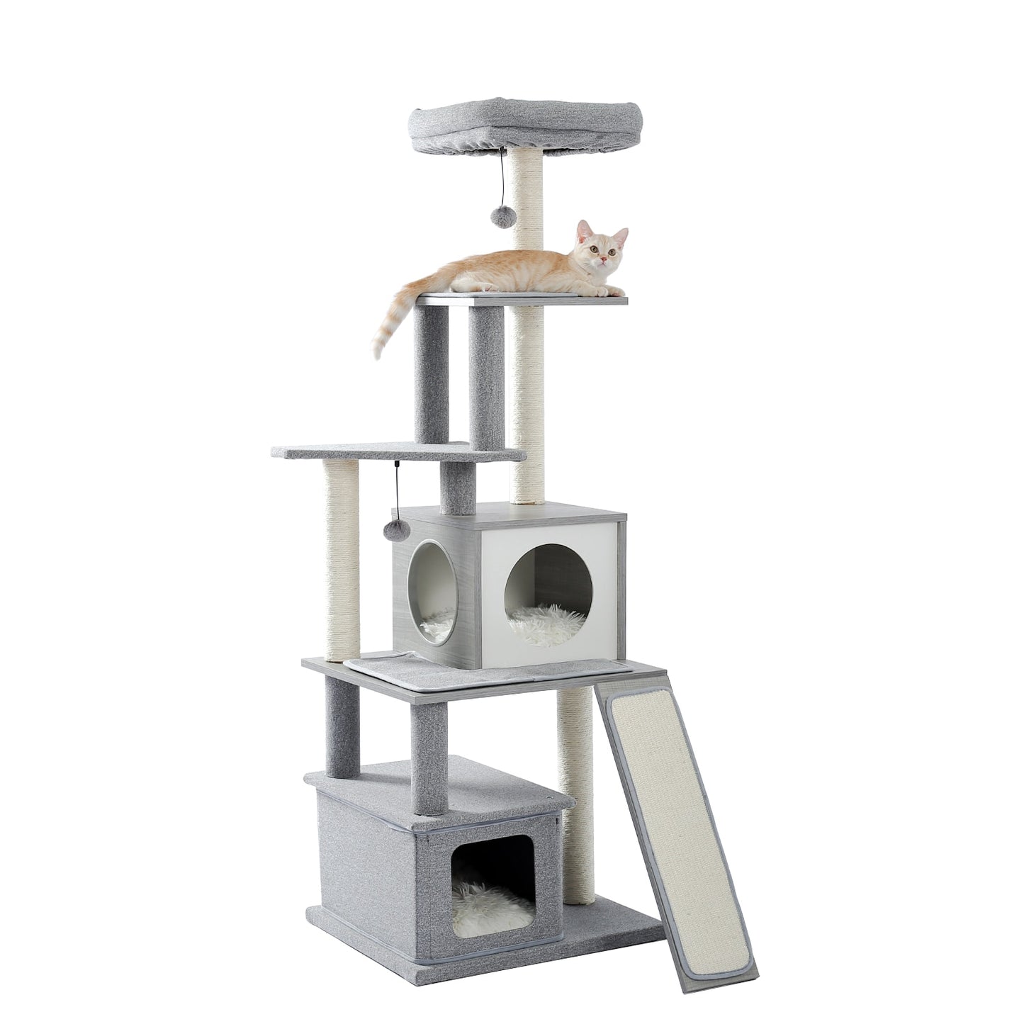 Cat Condominium