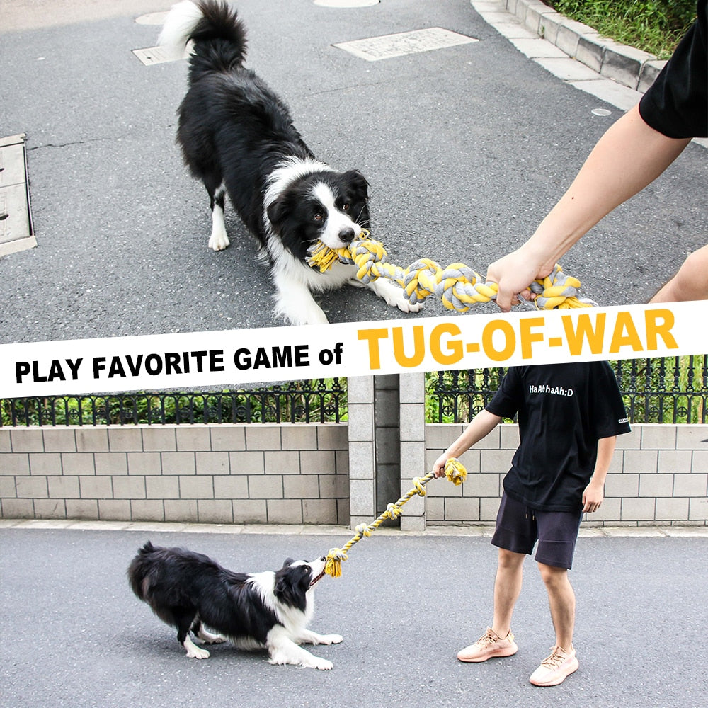 Large Durable Interactive Toy For Big Dog.