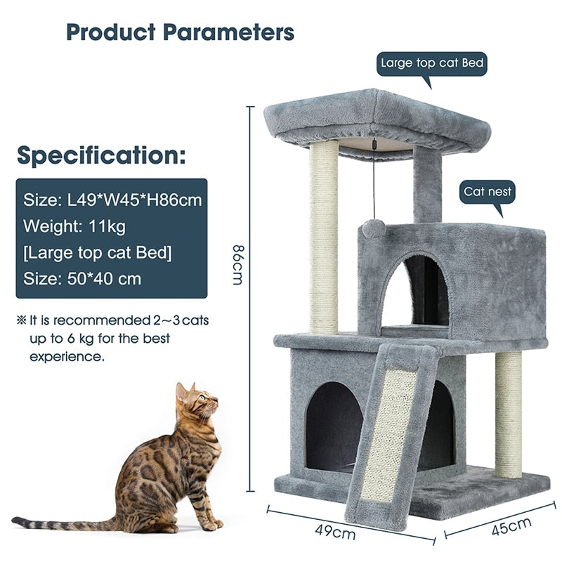 Cat Condominium