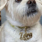 Cat/Small Dog Personalized Keychain.