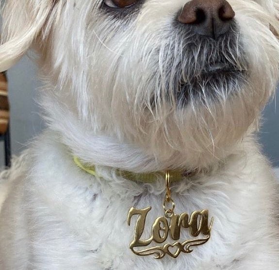 Cat/Small Dog Personalized Keychain.