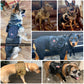 Tactical Dog Harnesses Pet Training Vest.