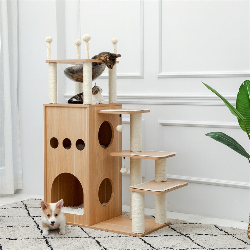Cat Condominium